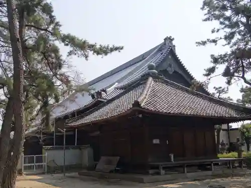 大樹寺（松安院大樹寺）(愛知県)