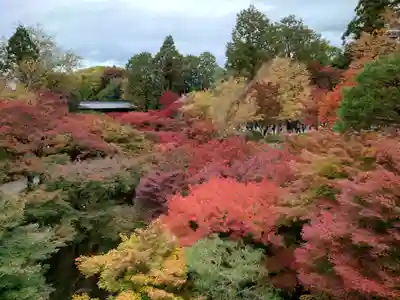 東福禅寺(東福寺)(京都府)