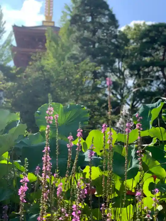 高幡不動尊 金剛寺の自然