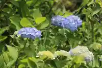 国宝 大法寺の自然