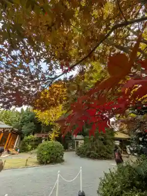 阿佐ヶ谷神明宮(東京都)