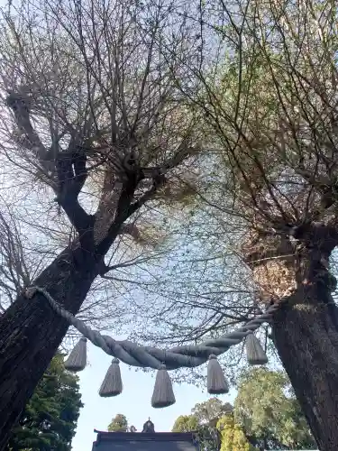 亀ケ池八幡宮の{uncategorized: "未分類", other: "その他", undefined: "問題あり", building: "その他建物", grave: "お墓", sacred_gate: "鳥居", guardian: "狛犬", statue: "像", buddha: "仏像", history: "歴史", nature: "自然", garden: "庭園", animal: "動物", pagoda: "塔", temizu: "手水舎", mountain_gate: "山門・神門", sanctuary: "本殿・本堂", subordinate: "末社・摂社", art: "芸術", scenery: "景色", jizo: "地蔵", ema: "絵馬", goshuin: "御朱印", omikuji: "おみくじ", items: "授与品その他", amulet: "お守り", goshuincho: "御朱印帳", eats: "食事", festival: "お祭り", votive_dance: "神楽", shichigosan: "七五三参", wedding: "結婚式", experience: "体験その他", initially: "初詣", around: "周辺", anti_infection: "感染症対策"}