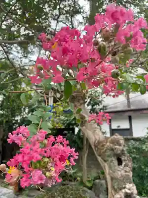 惣善寺(福島県)