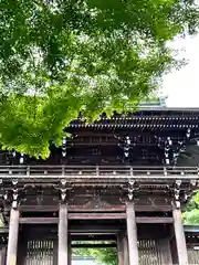 伊奈波神社(岐阜県)