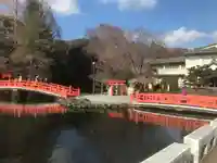 富士山本宮浅間大社(静岡県)