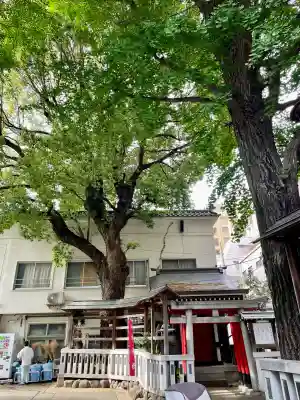 鳥越神社(東京都)