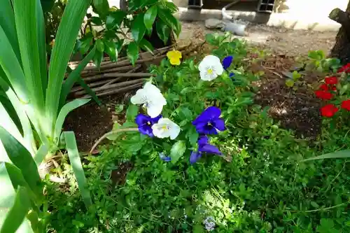 素戔嗚神社(大神神社境外末社)の庭園