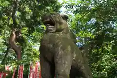 愛宕神社の狛犬