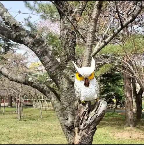 札幌護國神社の像