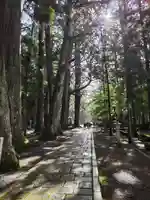 高野山金剛峯寺奥の院(和歌山県)