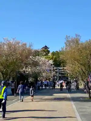 針綱神社の周辺
