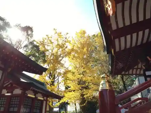 静岡浅間神社の建物その他