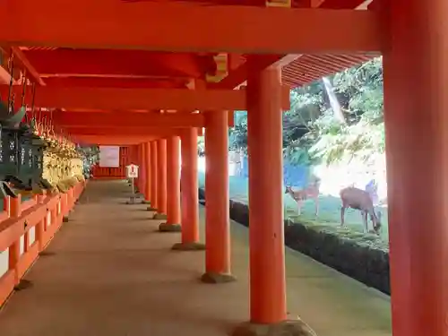 春日大社のその他建物