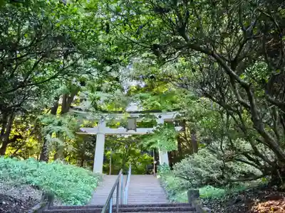 宝登山神社奥宮(埼玉県)