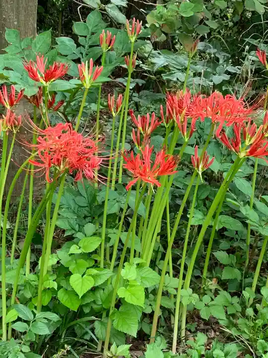 鏡石鹿嶋神社 *安産・開運・勝利の神さま*(福島県)