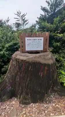 平出雷電神社の{uncategorized: "未分類", other: "その他", undefined: "問題あり", building: "その他建物", grave: "お墓", sacred_gate: "鳥居", guardian: "狛犬", statue: "像", buddha: "仏像", history: "歴史", nature: "自然", garden: "庭園", animal: "動物", pagoda: "塔", temizu: "手水舎", mountain_gate: "山門・神門", sanctuary: "本殿・本堂", subordinate: "末社・摂社", art: "芸術", scenery: "景色", jizo: "地蔵", ema: "絵馬", goshuin: "御朱印", omikuji: "おみくじ", items: "授与品その他", amulet: "お守り", goshuincho: "御朱印帳", eats: "食事", festival: "お祭り", votive_dance: "神楽", shichigosan: "七五三参", wedding: "結婚式", experience: "体験その他", initially: "初詣", around: "周辺", anti_infection: "感染症対策"}