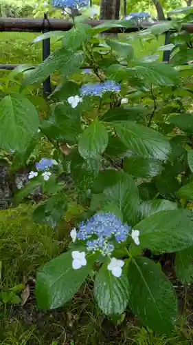 真正極楽寺（真如堂）(京都府)