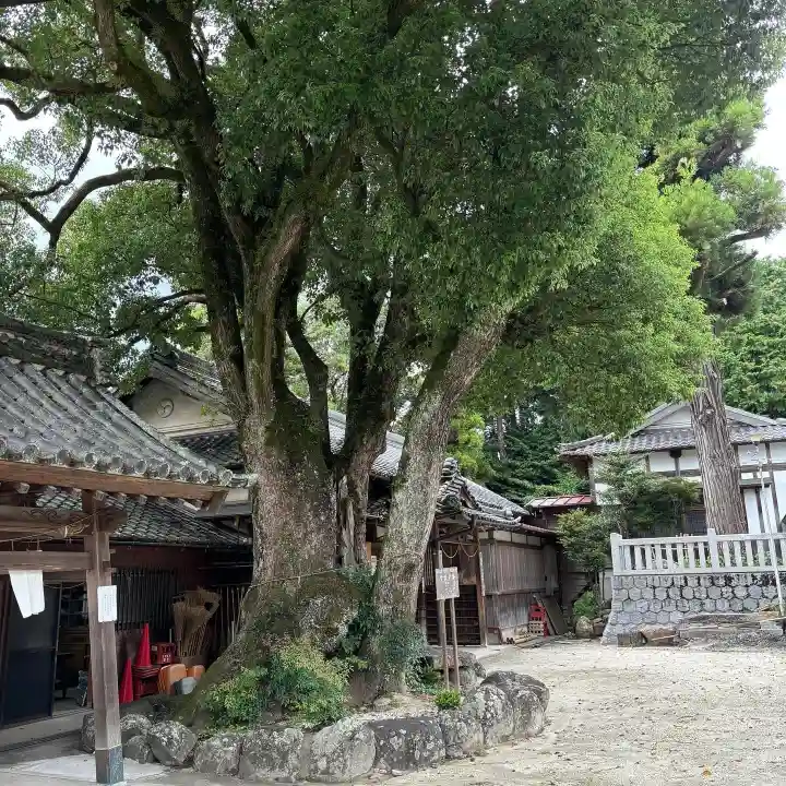 八幡宮(寺部八幡宮)(愛知県)
