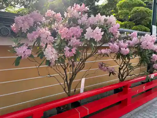 中山寺奥之院(兵庫県)