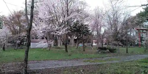 深川神社の庭園