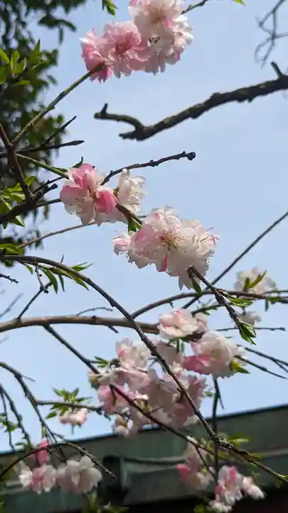 御辰稲荷神社(京都府)