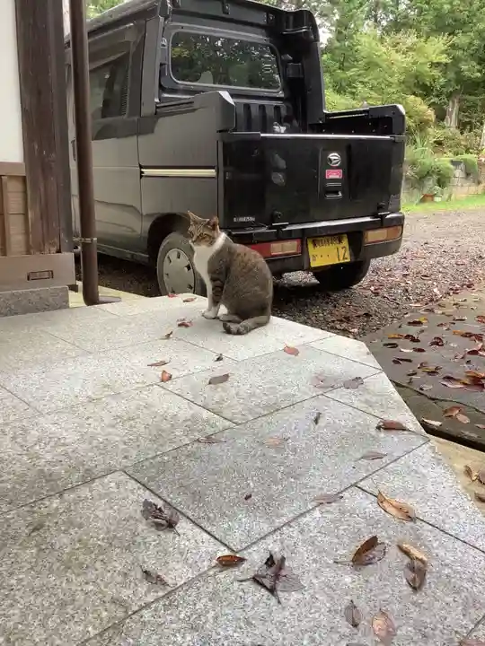 玉野御嶽神社の動物