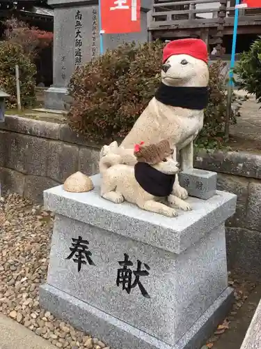 不動院(板橋不動尊)の狛犬