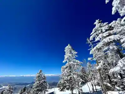 禰固岳神社の自然