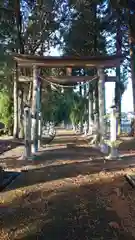 縣主神社の鳥居