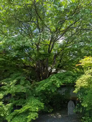 実相院門跡(京都府)