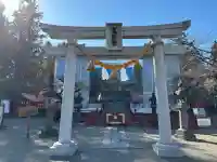 世良田東照宮の{uncategorized: "未分類", other: "その他", undefined: "問題あり", building: "その他建物", grave: "お墓", sacred_gate: "鳥居", guardian: "狛犬", statue: "像", buddha: "仏像", history: "歴史", nature: "自然", garden: "庭園", animal: "動物", pagoda: "塔", temizu: "手水舎", mountain_gate: "山門・神門", sanctuary: "本殿・本堂", subordinate: "末社・摂社", art: "芸術", scenery: "景色", jizo: "地蔵", ema: "絵馬", goshuin: "御朱印", omikuji: "おみくじ", items: "授与品その他", amulet: "お守り", goshuincho: "御朱印帳", eats: "食事", festival: "お祭り", votive_dance: "神楽", shichigosan: "七五三参", wedding: "結婚式", experience: "体験その他", initially: "初詣", around: "周辺", anti_infection: "感染症対策"}