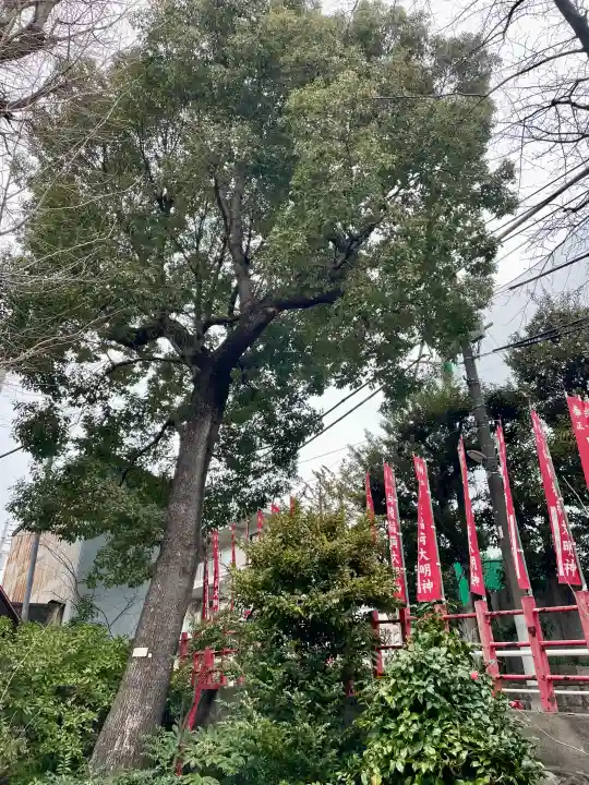 向陵稲荷神社の{uncategorized: "未分類", other: "その他", undefined: "問題あり", building: "その他建物", grave: "お墓", sacred_gate: "鳥居", guardian: "狛犬", statue: "像", buddha: "仏像", history: "歴史", nature: "自然", garden: "庭園", animal: "動物", pagoda: "塔", temizu: "手水舎", mountain_gate: "山門・神門", sanctuary: "本殿・本堂", subordinate: "末社・摂社", art: "芸術", scenery: "景色", jizo: "地蔵", ema: "絵馬", goshuin: "御朱印", omikuji: "おみくじ", items: "授与品その他", amulet: "お守り", goshuincho: "御朱印帳", eats: "食事", festival: "お祭り", votive_dance: "神楽", shichigosan: "七五三参", wedding: "結婚式", experience: "体験その他", initially: "初詣", around: "周辺", anti_infection: "感染症対策"}