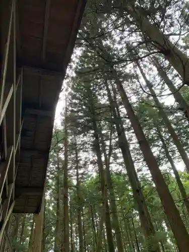 平田神社の自然