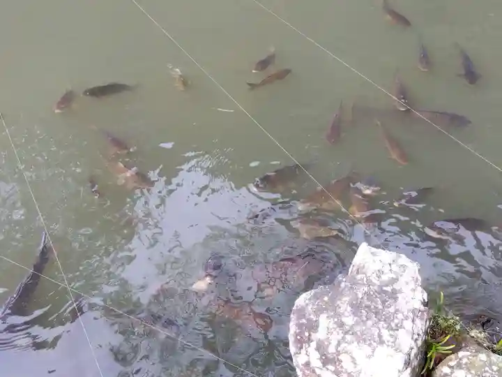 清荒神清澄寺(兵庫県)