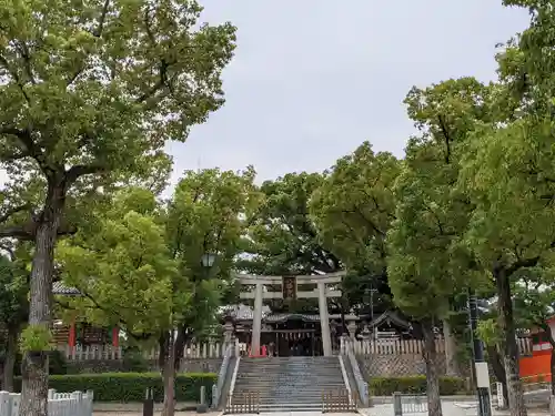 百舌鳥八幡宮の鳥居