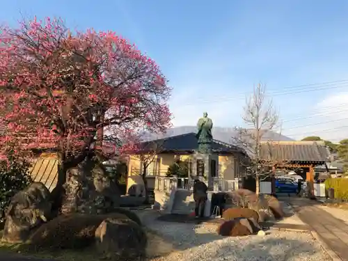 法源寺のその他建物