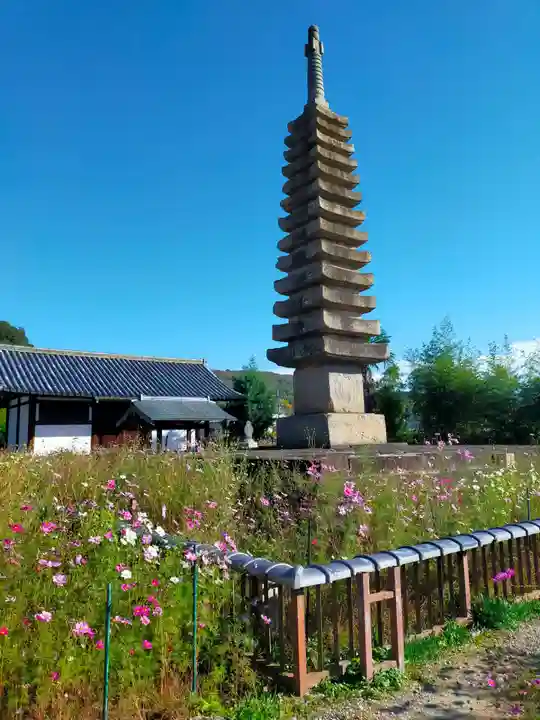 般若寺 ❁コスモス寺❁(奈良県)