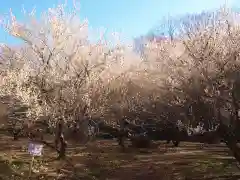 壽命院 永徳寺(栃木県)