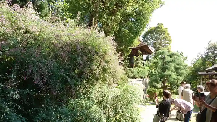 横浜 西方寺のその他建物