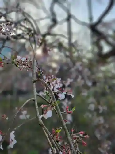 般若院(茨城県)