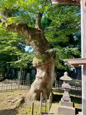 実成寺(福島県)