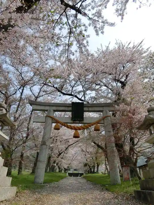 天津神社の鳥居