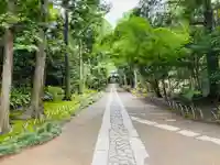 寿福寺(神奈川県)