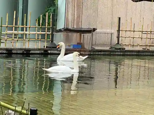 頂法寺（六角堂）(京都府)