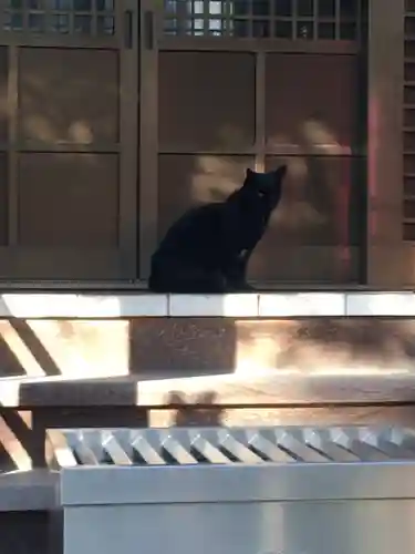 田丸稲荷神社の動物