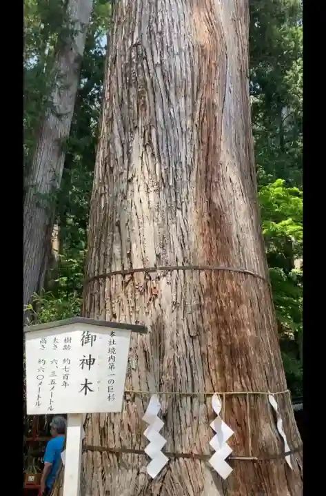 日光二荒山神社の{uncategorized: "未分類", other: "その他", undefined: "問題あり", building: "その他建物", grave: "お墓", sacred_gate: "鳥居", guardian: "狛犬", statue: "像", buddha: "仏像", history: "歴史", nature: "自然", garden: "庭園", animal: "動物", pagoda: "塔", temizu: "手水舎", mountain_gate: "山門・神門", sanctuary: "本殿・本堂", subordinate: "末社・摂社", art: "芸術", scenery: "景色", jizo: "地蔵", ema: "絵馬", goshuin: "御朱印", omikuji: "おみくじ", items: "授与品その他", amulet: "お守り", goshuincho: "御朱印帳", eats: "食事", festival: "お祭り", votive_dance: "神楽", shichigosan: "七五三参", wedding: "結婚式", experience: "体験その他", initially: "初詣", around: "周辺", anti_infection: "感染症対策"}