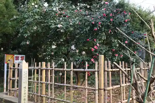 星谷寺のその他建物