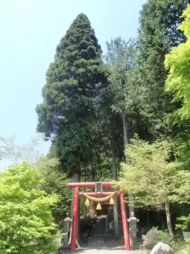 石割神社の鳥居