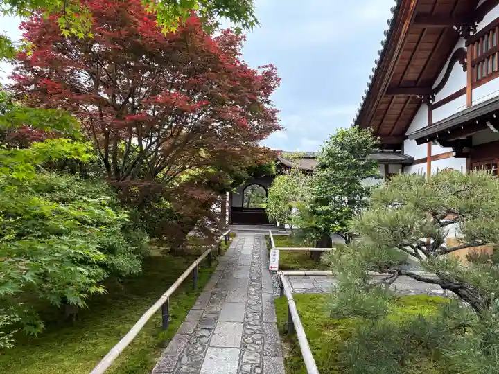 興臨院の{uncategorized: "未分類", other: "その他", undefined: "問題あり", building: "その他建物", grave: "お墓", sacred_gate: "鳥居", guardian: "狛犬", statue: "像", buddha: "仏像", history: "歴史", nature: "自然", garden: "庭園", animal: "動物", pagoda: "塔", temizu: "手水舎", mountain_gate: "山門・神門", sanctuary: "本殿・本堂", subordinate: "末社・摂社", art: "芸術", scenery: "景色", jizo: "地蔵", ema: "絵馬", goshuin: "御朱印", omikuji: "おみくじ", items: "授与品その他", amulet: "お守り", goshuincho: "御朱印帳", eats: "食事", festival: "お祭り", votive_dance: "神楽", shichigosan: "七五三参", wedding: "結婚式", experience: "体験その他", initially: "初詣", around: "周辺", anti_infection: "感染症対策"}