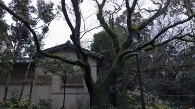 潮江天満宮の自然